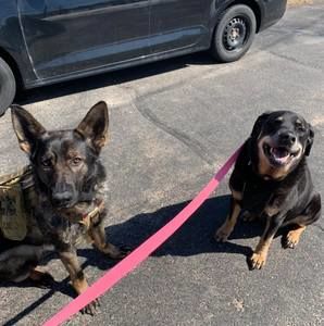 Meet your Posher, Lowanna